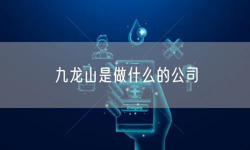 九龙山是做什么的公司