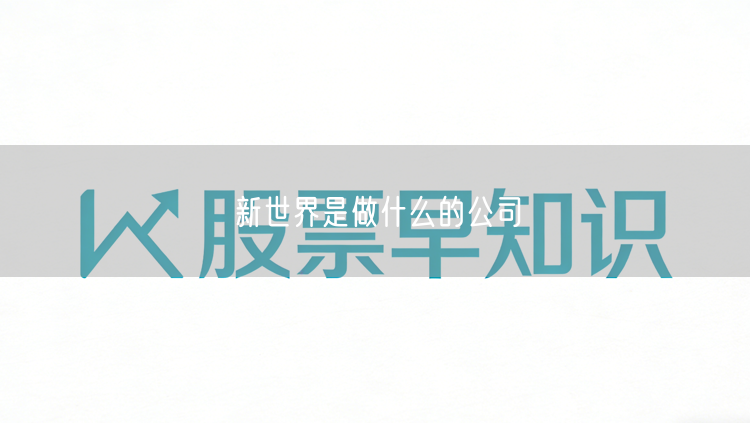 新世界是做什么的公司