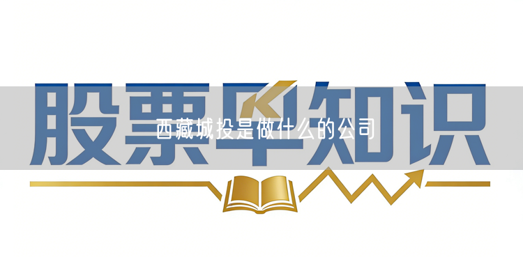 西藏城投是做什么的公司