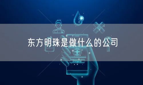 东方明珠是做什么的公司