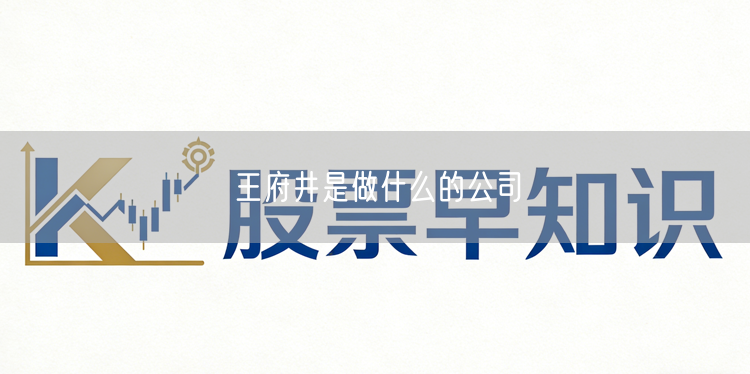 王府井是做什么的公司