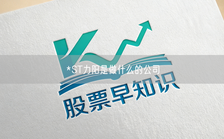 *ST力阳是做什么的公司
