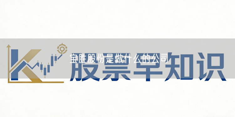 宝胜股份是做什么的公司