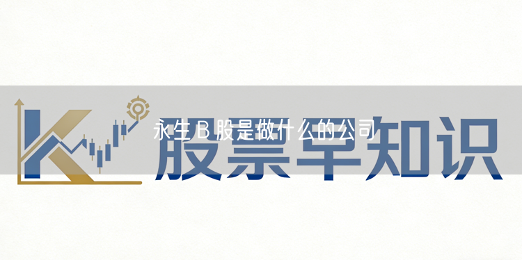 永生Ｂ股是做什么的公司