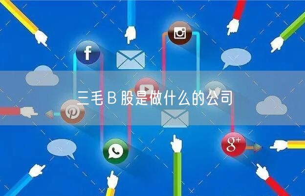 三毛Ｂ股是做什么的公司