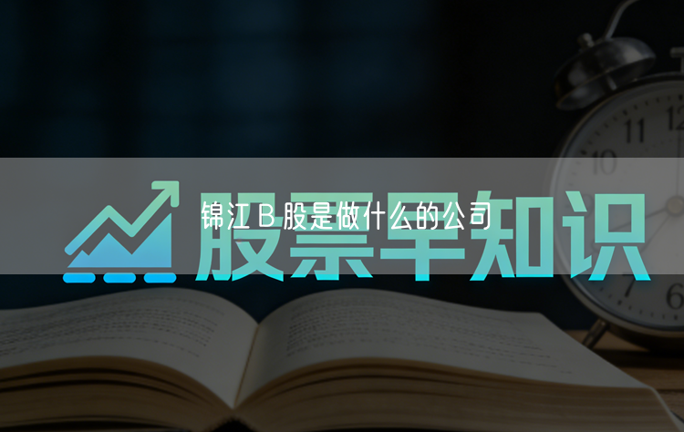 锦江Ｂ股是做什么的公司