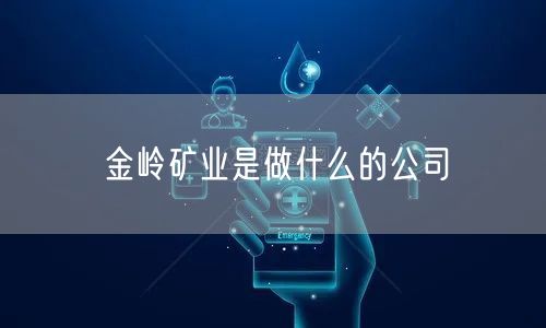 金岭矿业是做什么的公司