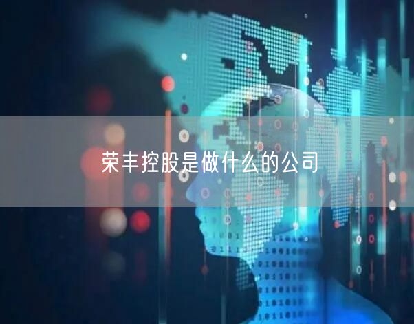 荣丰控股是做什么的公司