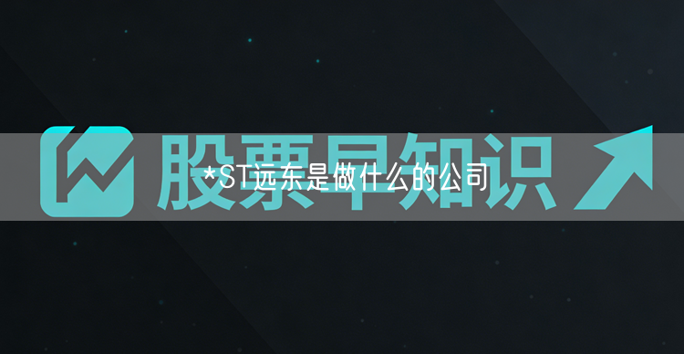 *ST远东是做什么的公司