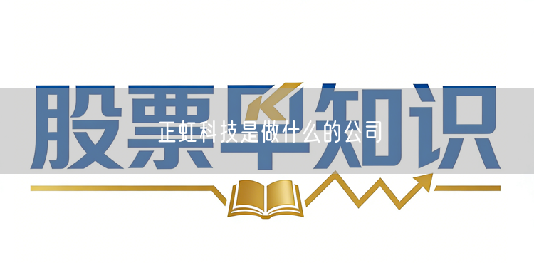 正虹科技是做什么的公司