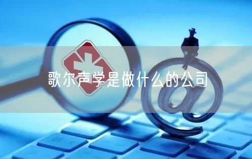 歌尔声学是做什么的公司