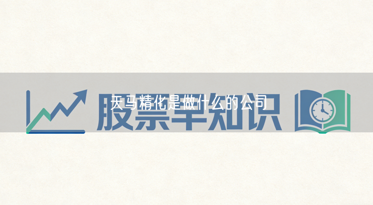 天马精化是做什么的公司