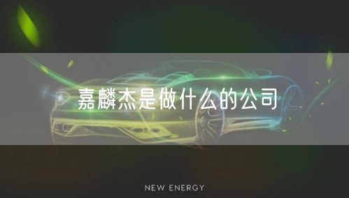 嘉麟杰是做什么的公司