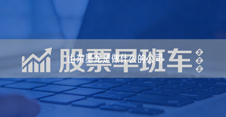 山东墨龙是做什么的公司