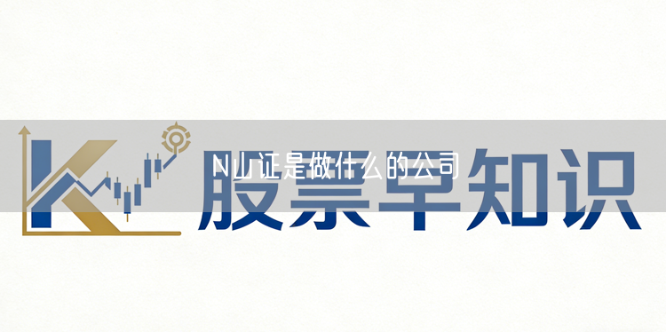 N山证是做什么的公司
