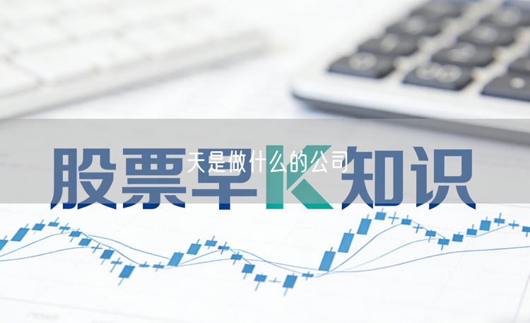 天是做什么的公司