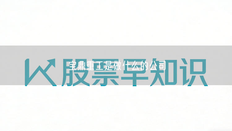 宝鼎重工是做什么的公司