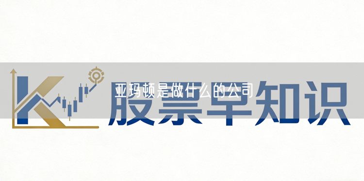 亚玛顿是做什么的公司