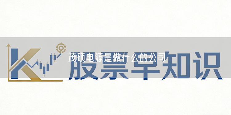 茂硕电源是做什么的公司