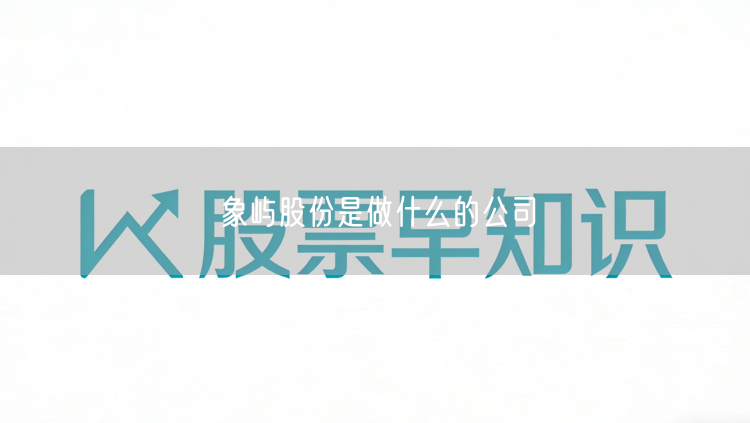 象屿股份是做什么的公司