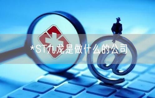 *ST九龙是做什么的公司