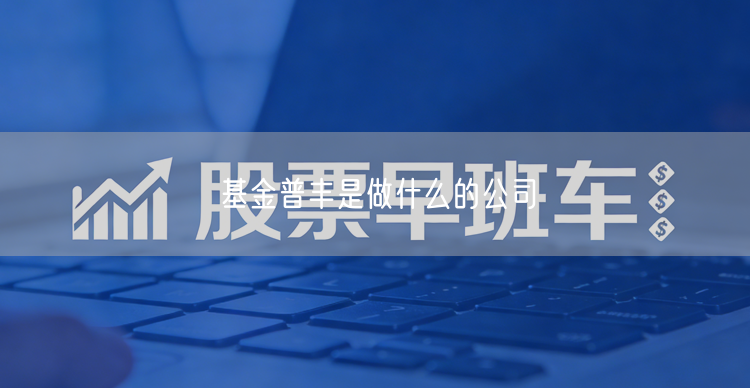 基金普丰是做什么的公司