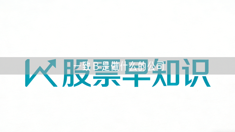 一致Ｂ是做什么的公司