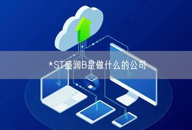 *ST盛润B是做什么的公司