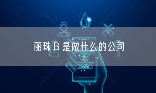 丽珠Ｂ是做什么的公司