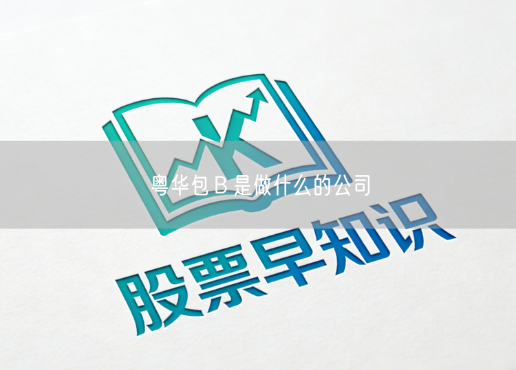 粤华包Ｂ是做什么的公司