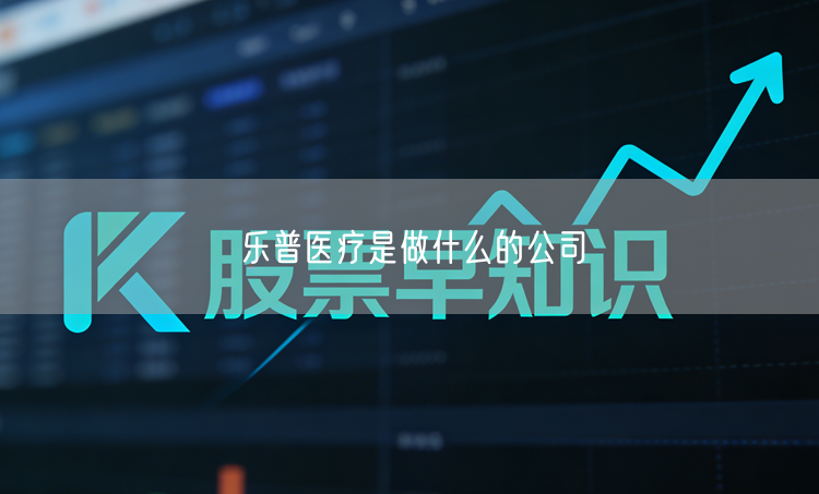 乐普医疗是做什么的公司
