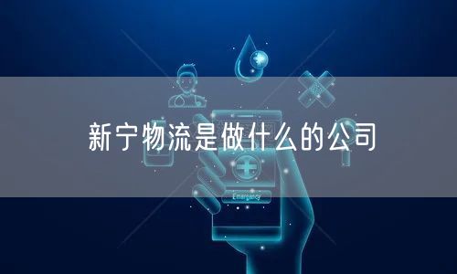新宁物流是做什么的公司