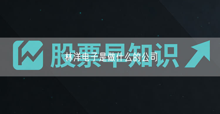 林洋电子是做什么的公司