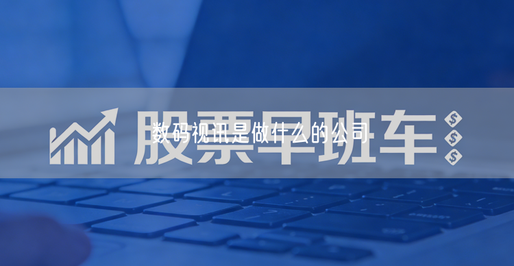 数码视讯是做什么的公司