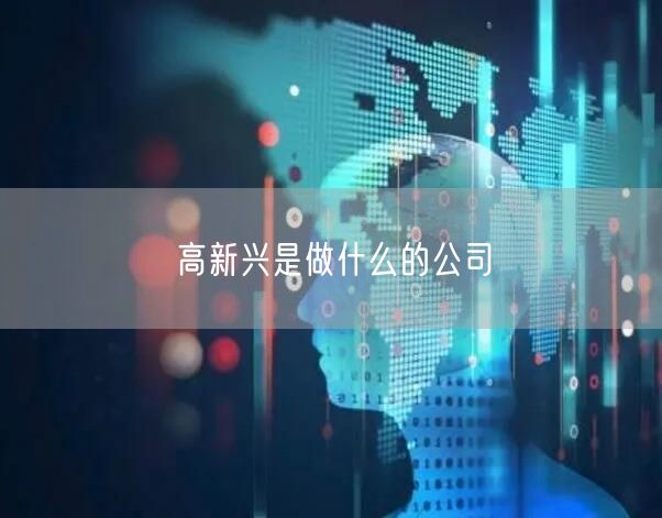 高新兴是做什么的公司