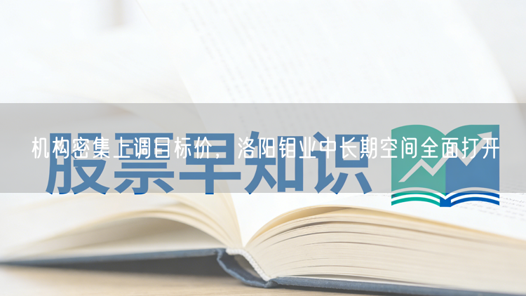 机构密集上调目标价，洛阳钼业中长期空间全面打开