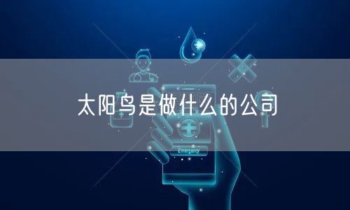 太阳鸟是做什么的公司