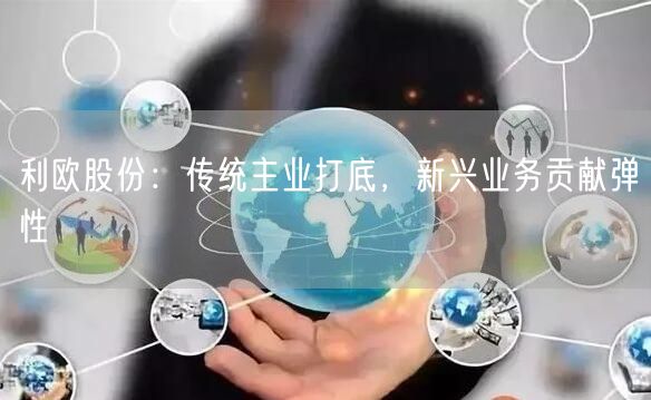 利欧股份：传统主业打底，新兴业务贡献弹性