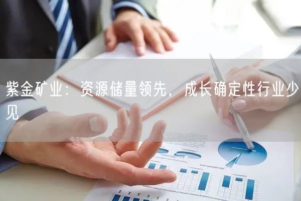紫金矿业：资源储量领先，成长确定性行业少见