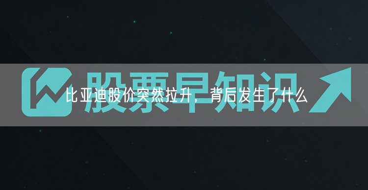 比亚迪股价突然拉升，背后发生了什么