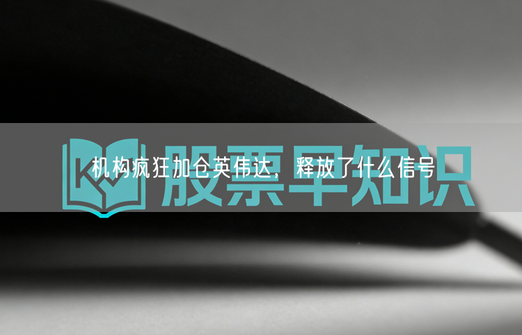 机构疯狂加仓英伟达，释放了什么信号