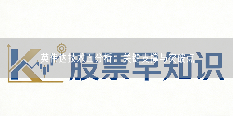 英伟达技术面分析：关键支撑与突破点
