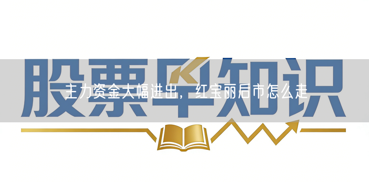 主力资金大幅进出，红宝丽后市怎么走