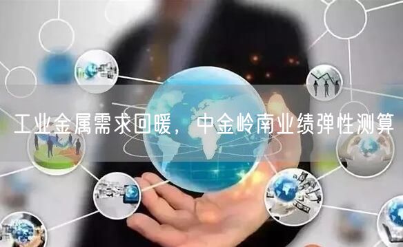 工业金属需求回暖，中金岭南业绩弹性测算