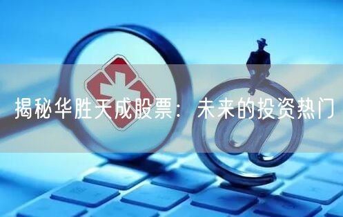 揭秘华胜天成股票：未来的投资热门
