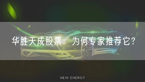 华胜天成股票：为何专家推荐它？