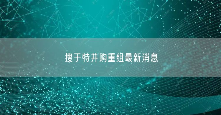 搜于特并购重组最新消息