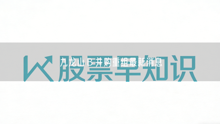 九龙山Ｂ并购重组最新消息